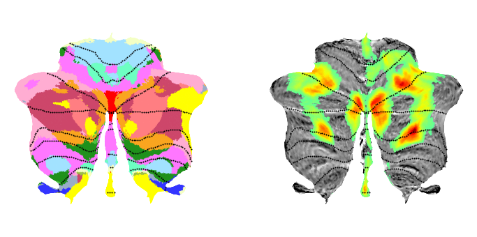 ../_images/tutorials_6.flatmap_example_25_1.png